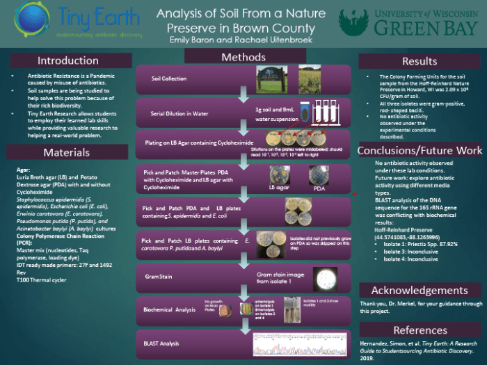 Stem antibiotic