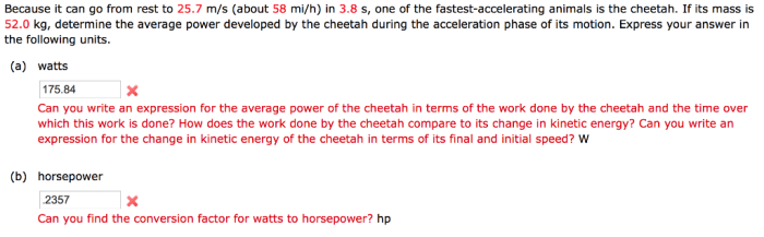 The cheetah is one of the fastest accelerating animals